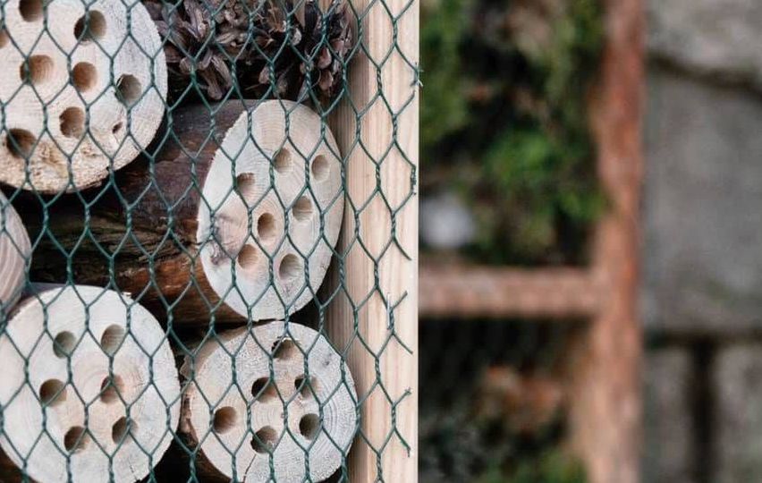 v1_migrated_image_92933407