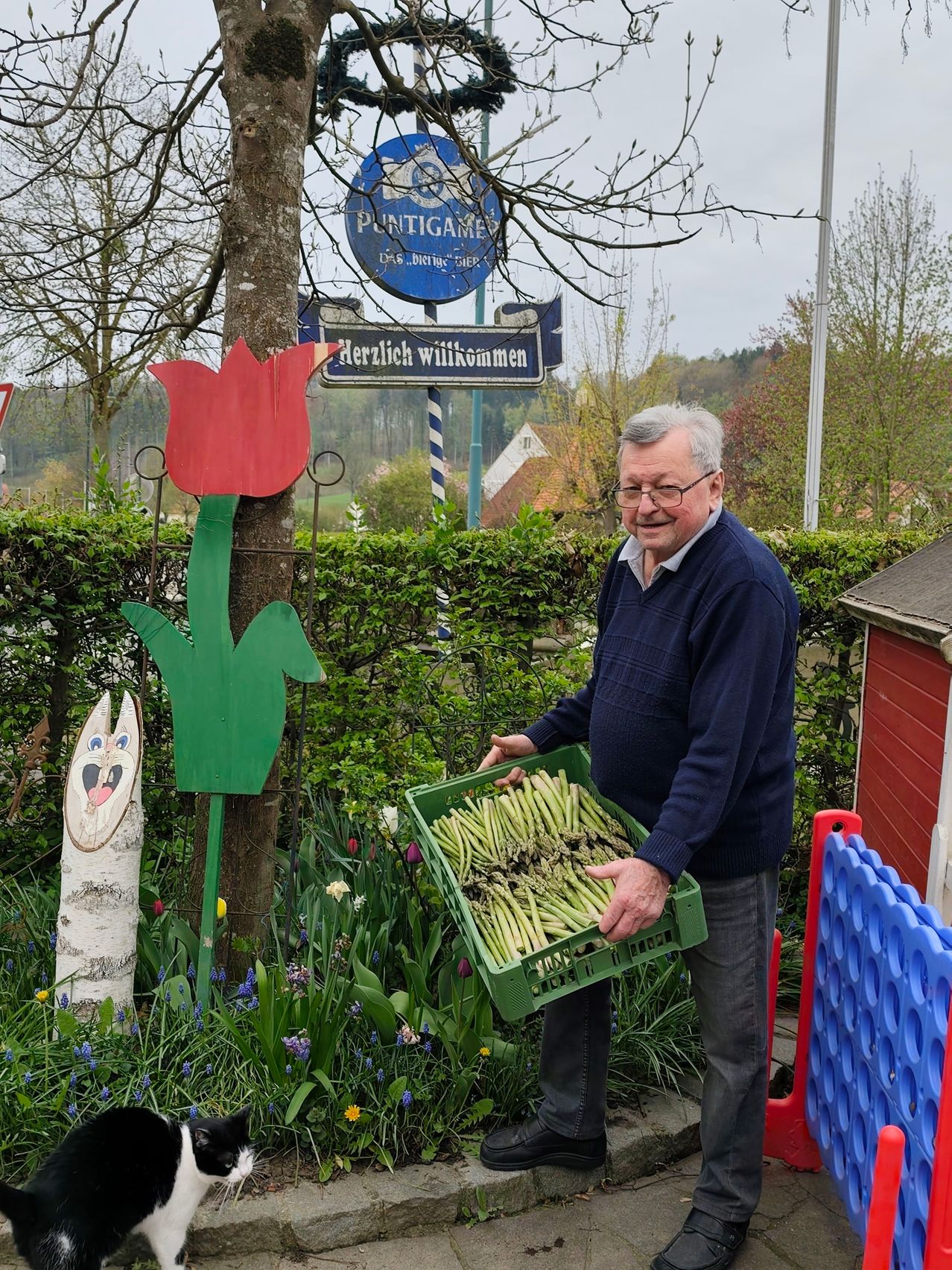 An elderly man stands in a garden holding a green crate of asparagus. Behind him, a tree with a large red tulip decoration and a signpost with blue text. In the background, a small house with a red roof.