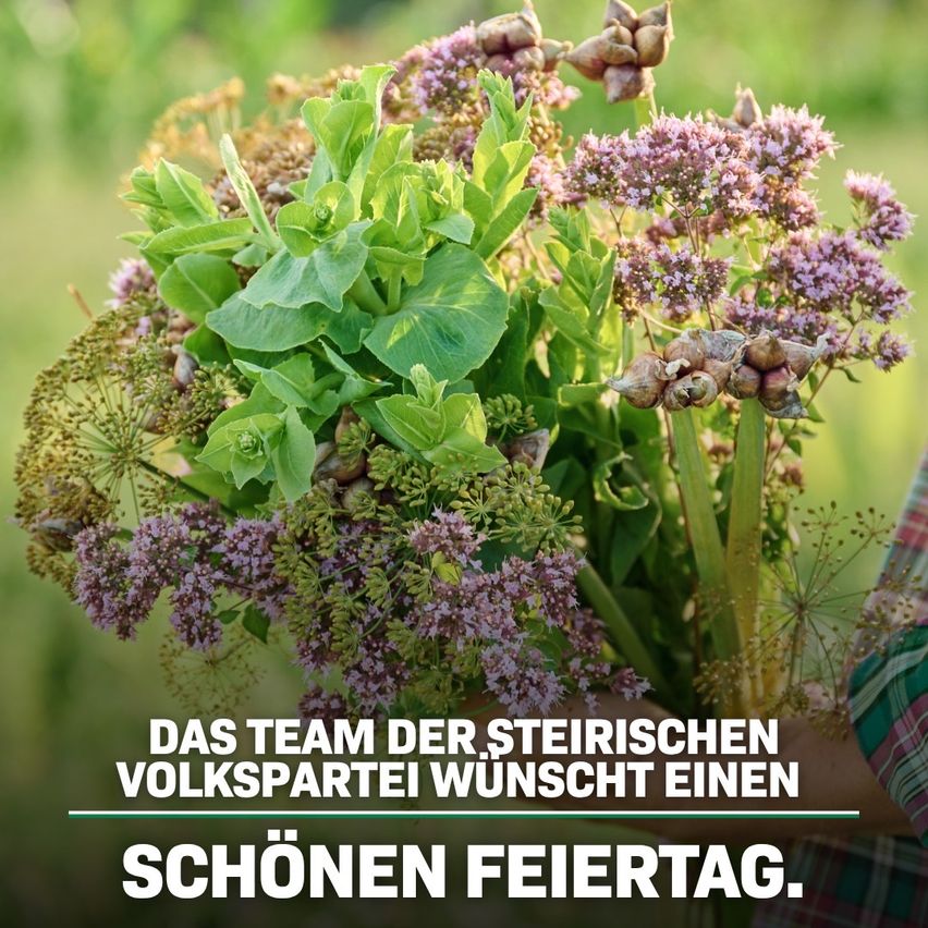 A person holds a bouquet of various green and purple herbs. The image has a text overlay in German that reads 'DAS TEAM DER STEIRISCHEN VOLKSPARTEI WÜNSCHT EINEN SCHÖNEN FEIERTAG.'