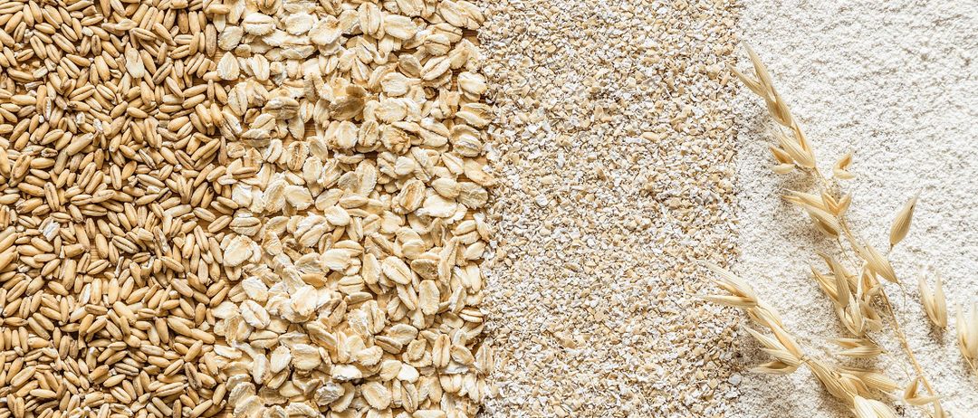 Eine Nahaufnahme von verschiedenen Körnern und Hafer, die auf einem weißen Hintergrund angeordnet sind. Die Körner umfassen Hafer, Mehl und Weizen.