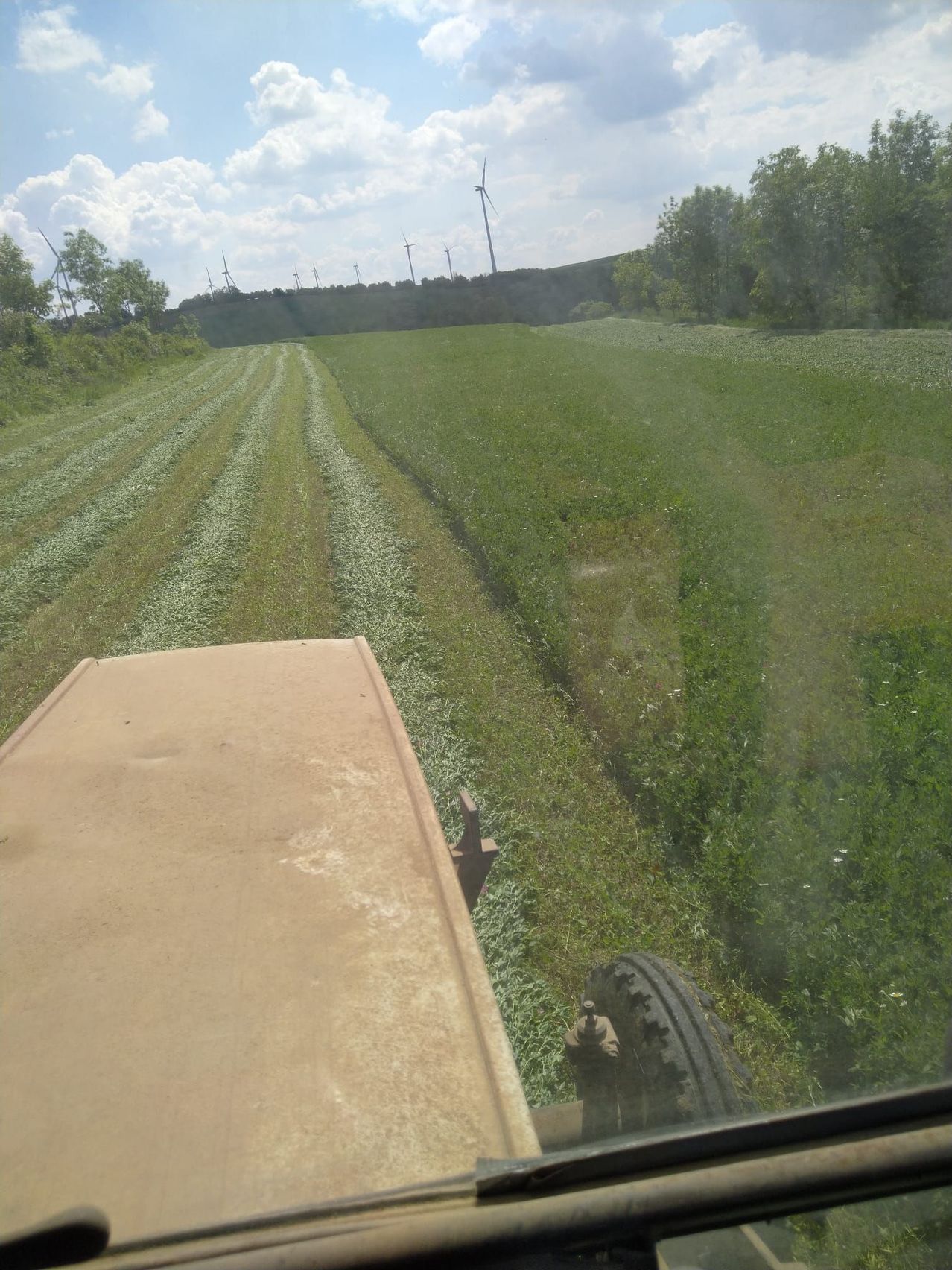 Ein Traktor fährt durch ein saftiges grünes Feld mit Windturbinen in der Ferne. Das Feld wird von einer Spur mit frisch geschnittenem Gras geteilt.