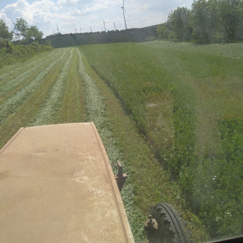 Ein Traktor fährt durch ein saftiges grünes Feld mit Windturbinen in der Ferne. Das Feld wird von einer Spur mit frisch geschnittenem Gras geteilt.