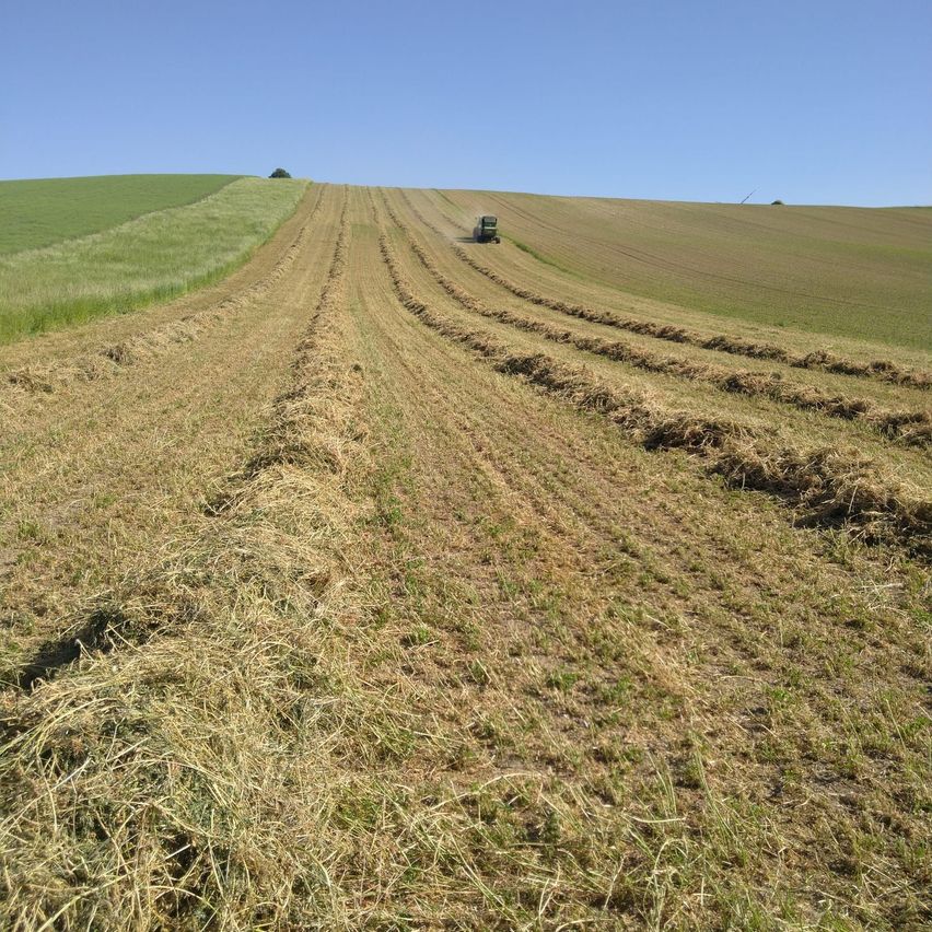 Ein Traktor fährt durch ein breites, gepflügtes Feld mit einigen grünen Grasflecken. Das Feld ist in Reihen unterteilt und liegt unter einem klaren blauen Himmel.