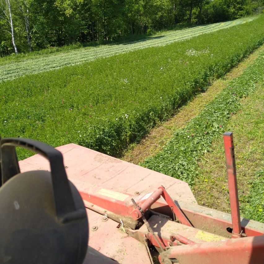 Ein rotes landwirtschaftliches Gerät fährt durch ein Feld mit grünem Gras und kleinen Blumen, umgeben von Bäumen.