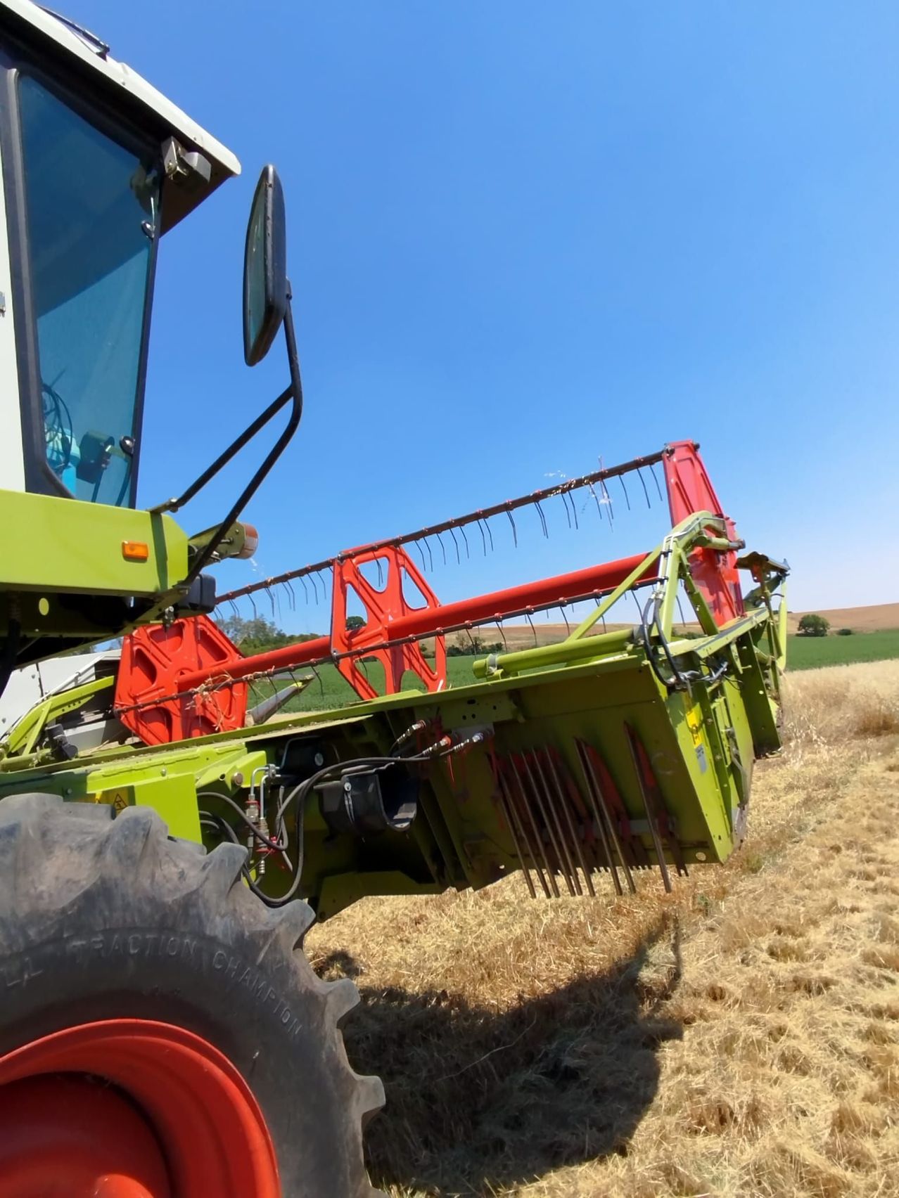 Ein grüner Mähdrescher erntet Ernten auf einem Feld. Die Maschine hat ein rotes Schneidwerk und zwei große Räder. Das Feld ist mit goldenen Ernten gefüllt.