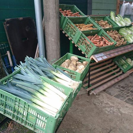 Mehrere grüne Kisten gefüllt mit Lauch, Kartoffeln, Karotten und Kohlen sind auf Holzregalen an einer grünen Wand gestapelt.