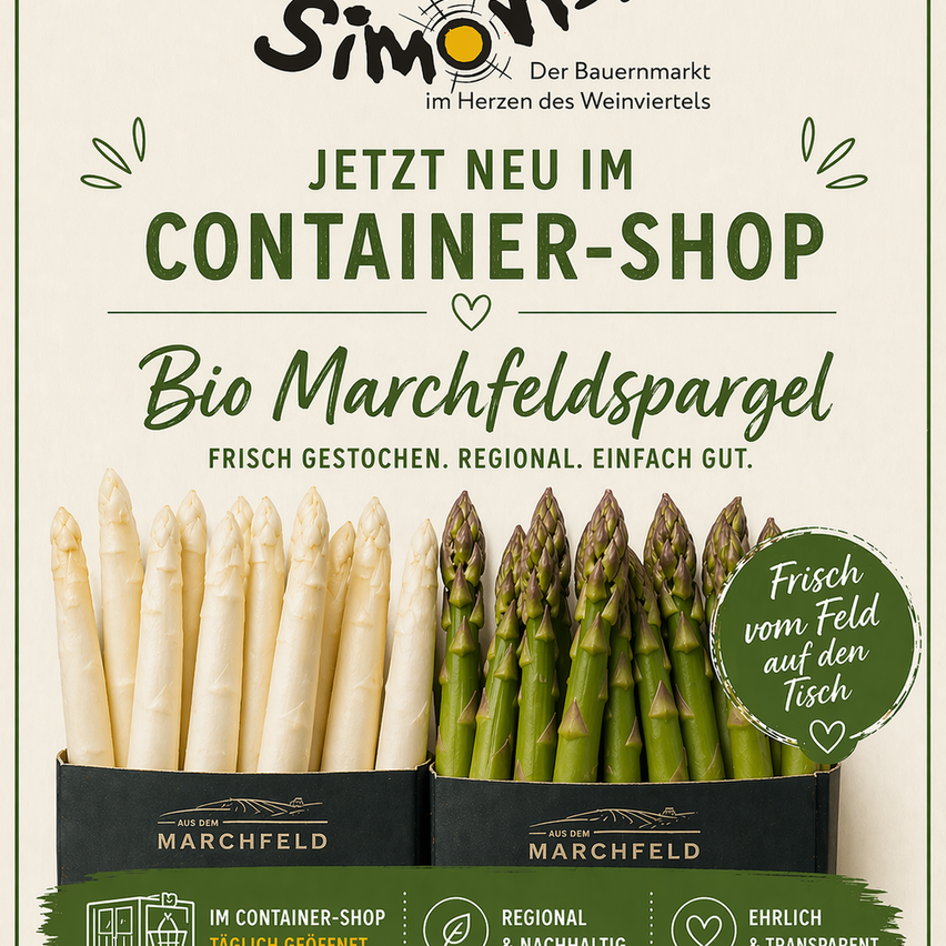 ChatGPTImage20.Apr.202613_03_39