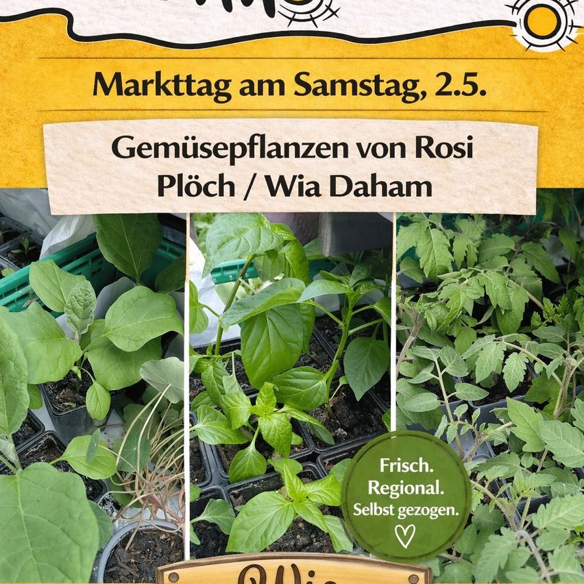 Werbung für Gemüsepflanzen von Rosi Plöch, gezeigt an einem Samstag, 2. Mai. Das Bild zeigt verschiedene Pflanzen in Töpfen, beschriftet mit dem Slogan 'Frisch. Regional. Selbst gezogen.'