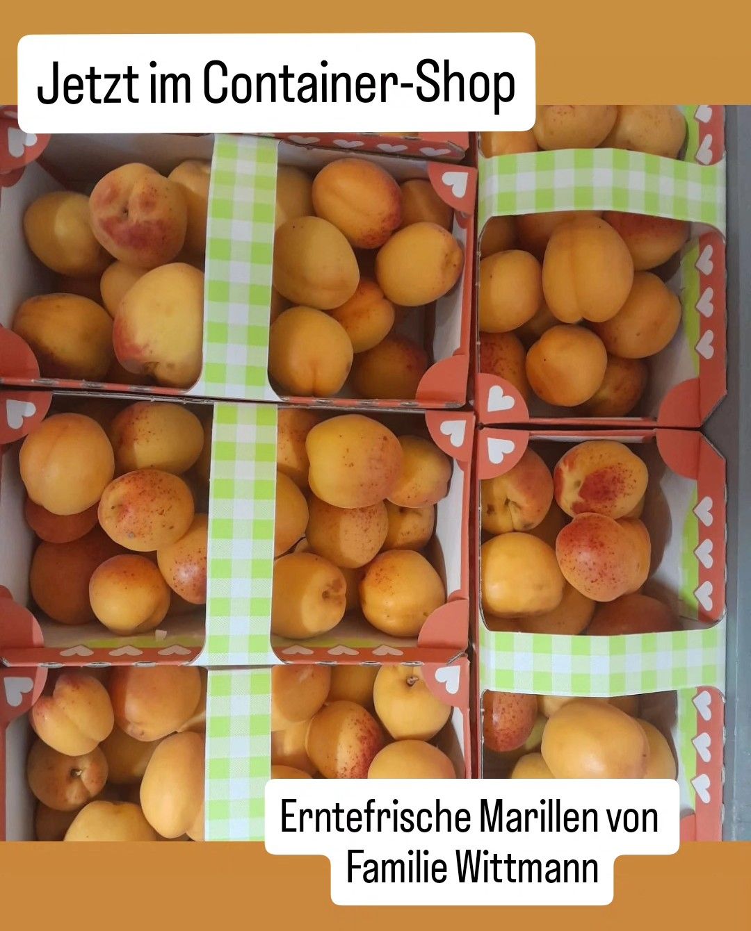Mehrere Kisten mit frischen Aprikosen in verschiedenen Größen und Farben. Jede Kiste hat ein grünes und weißes kariertes Muster. Die Kisten sind mit 'Erntefrische Marillen von' in weißem Text beschriftet.