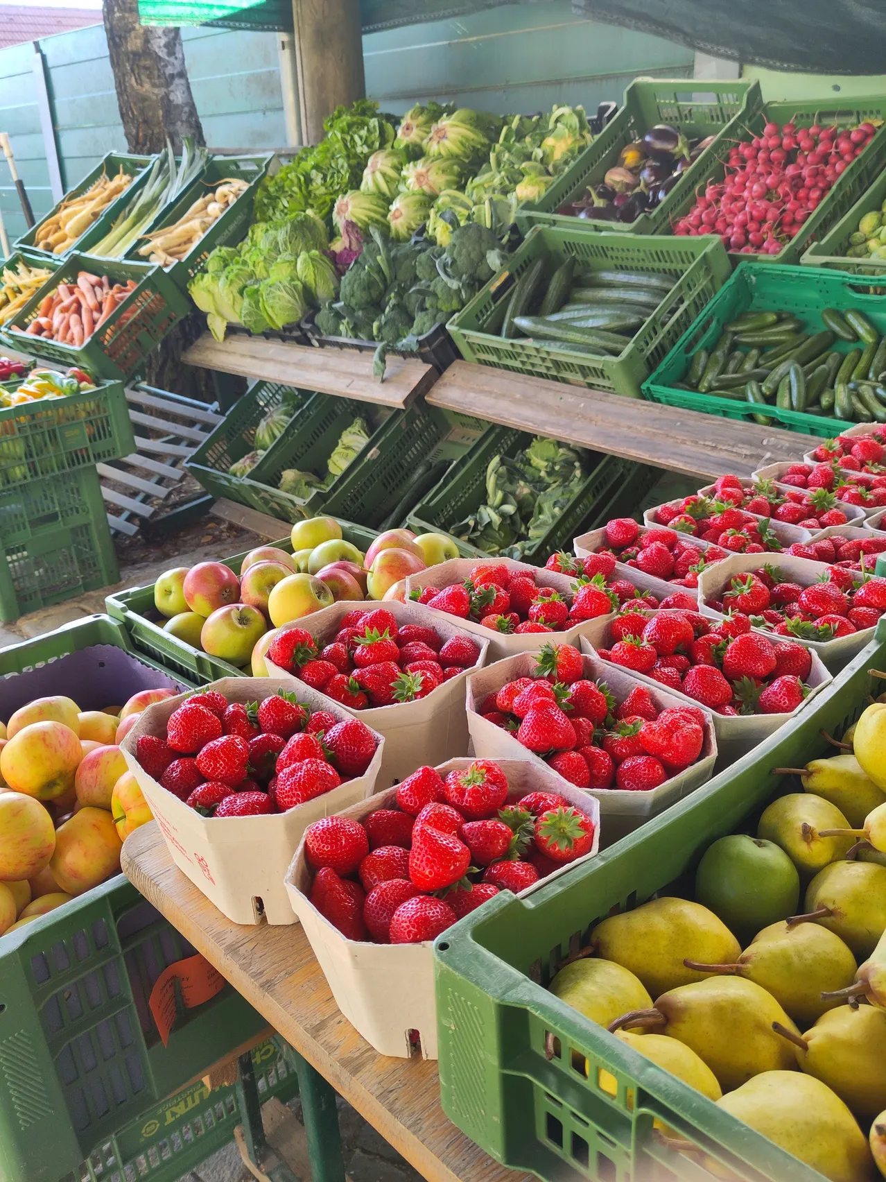 Eine Auswahl an frischem Obst und Gemüse ist in grünen Kisten auf einem Markt ausgestellt. Erdbeeren, Äpfel, Birnen und andere Produkte sind ordentlich auf einem Holztisch angeordnet.
