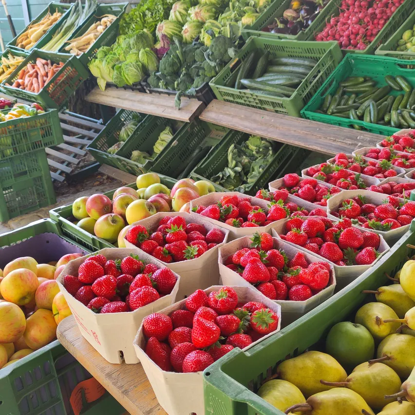 Eine Auswahl an frischem Obst und Gemüse ist in grünen Kisten auf einem Markt ausgestellt. Erdbeeren, Äpfel, Birnen und andere Produkte sind ordentlich auf einem Holztisch angeordnet.