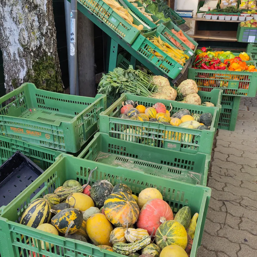 Eine Reihe grüner Kisten, gefüllt mit verschiedenen Gemüsesorten, darunter Kürbisse, Karotten und Paprika, wird in einem Außenmarkt präsentiert.