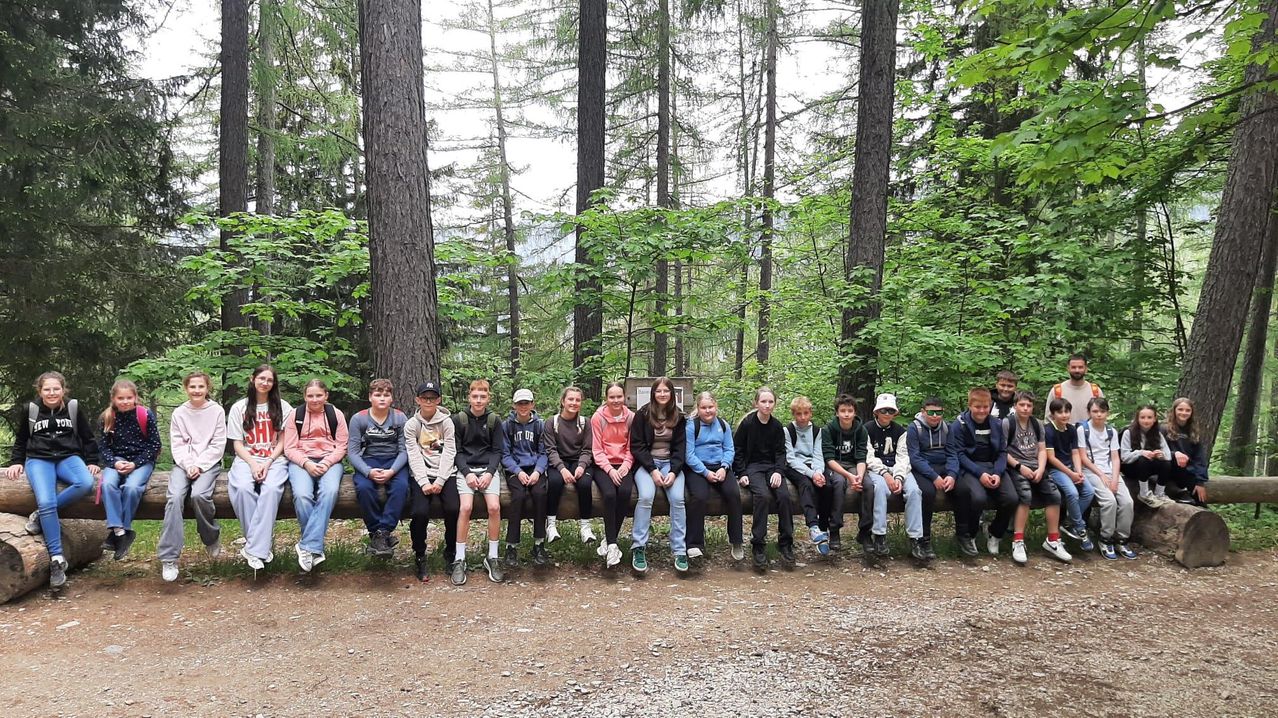 A group of teenagers poses for a photo while sitting on a log in a forest. They are dressed casually and seem to be enjoying the outdoor environment.