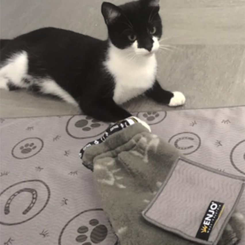Eine schwarz-weiße Katze liegt auf einem grauen Boden mit einem Pfotenabdruckdesign, in der Nähe eines Paars grauer Socken und einer grauen Decke mit einem Logo.