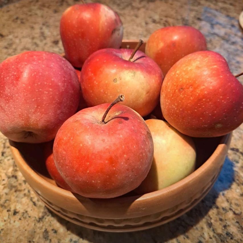 A clay bowl filled with a variety of red and yellow apples sits on a marble countertop. The apples have a mix of bright red and slightly yellowish hues, and some have minor blemishes.