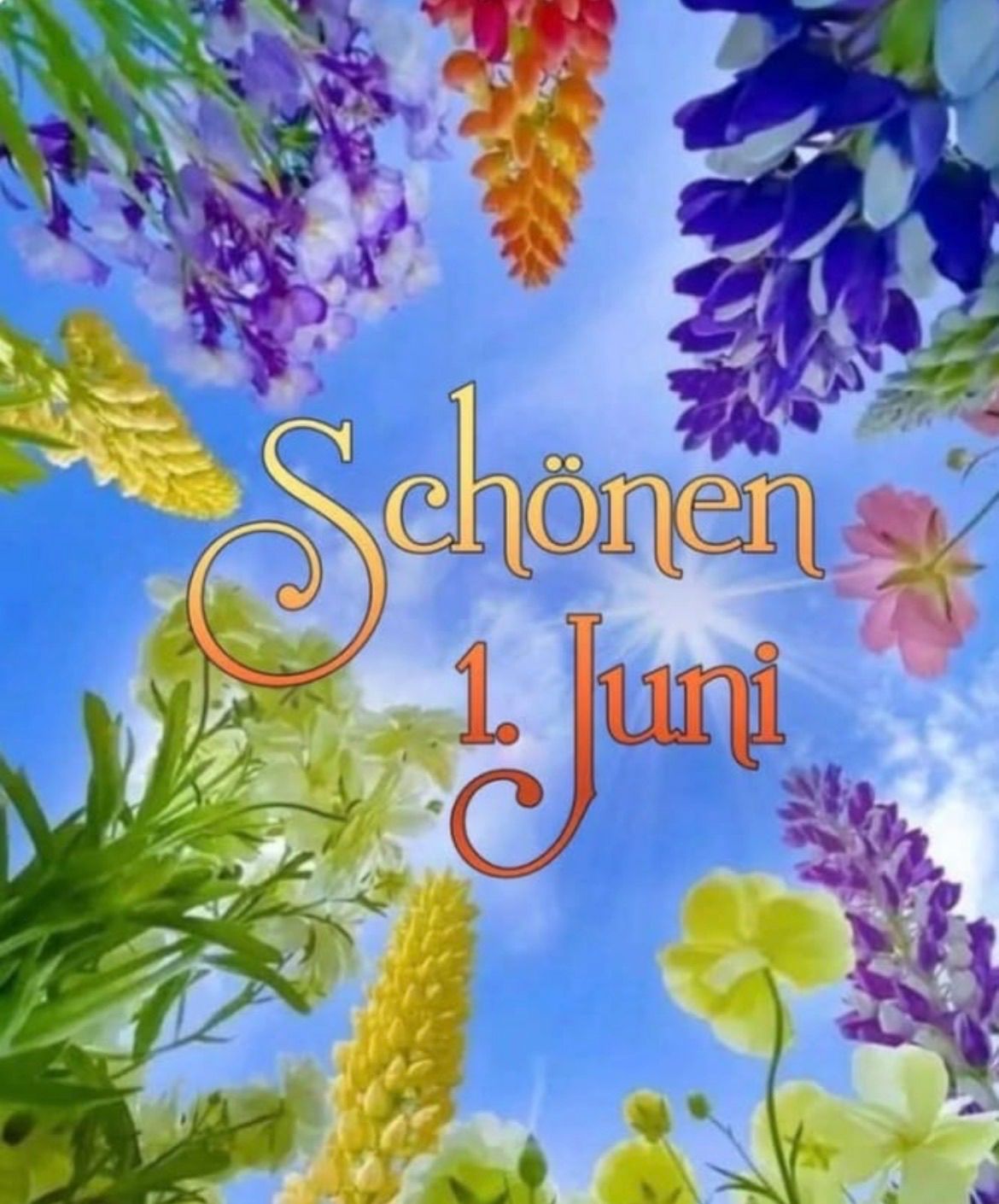 Beautiful flowers are scattered on a blue sky with text 'Schon 1. Juni' in the center.