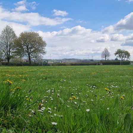 Bild enthält, Field, Grassland, Nature, Outdoors, Countryside, Meadow, Pasture, Grass, Sky, Tree