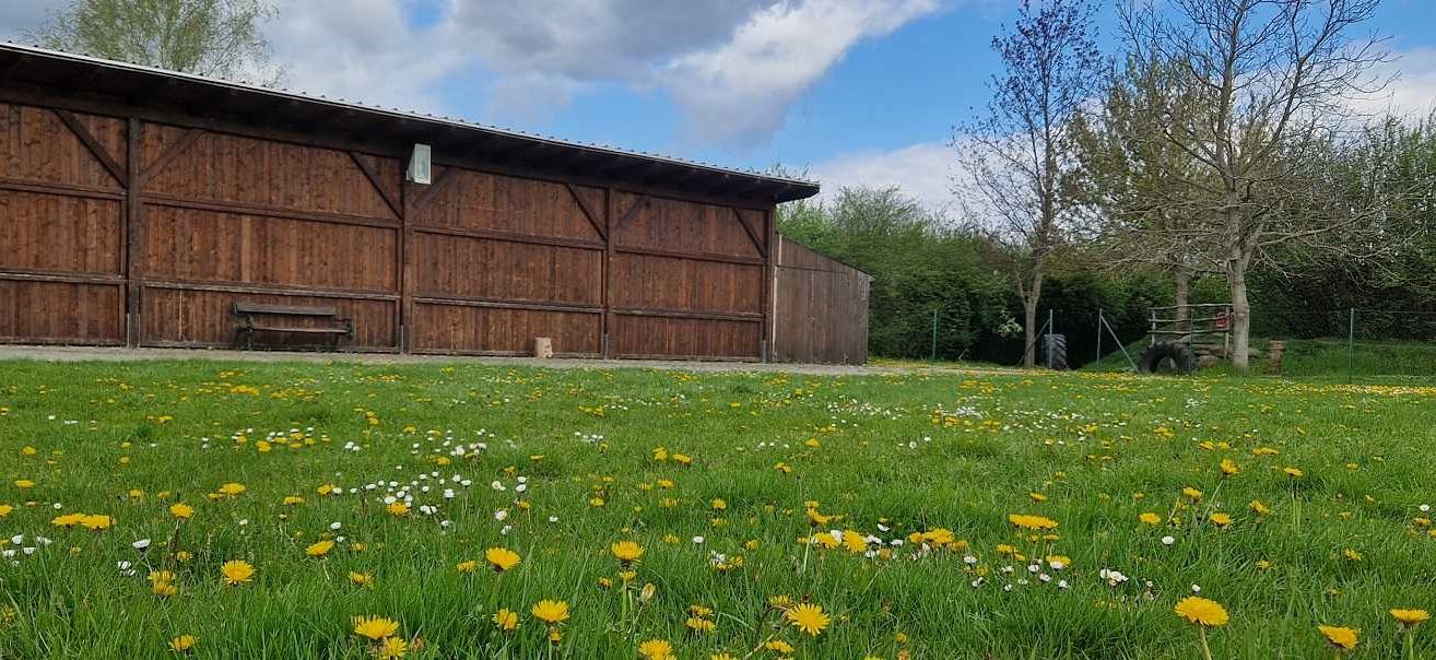 Bild enthält, Outdoors, Shelter, Field, Grassland, Nature, Countryside, Pasture, Rural, Meadow, Grass