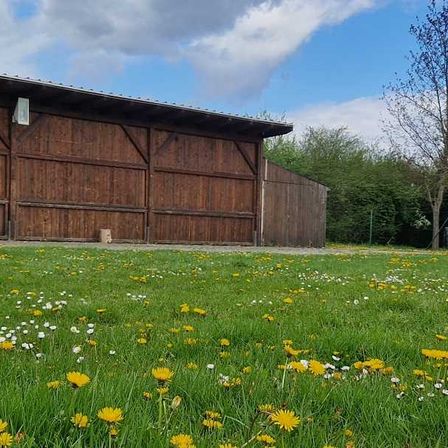 Bild enthält, Outdoors, Shelter, Field, Grassland, Nature, Countryside, Pasture, Rural, Meadow, Grass