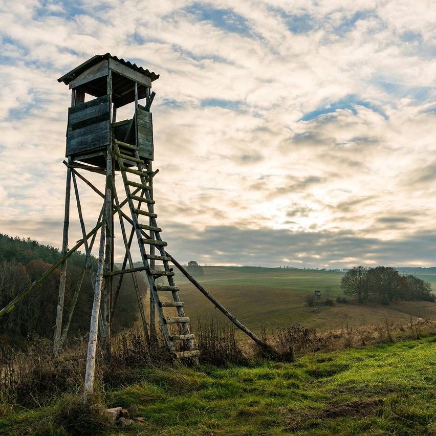 v1_migrated_image_60136078