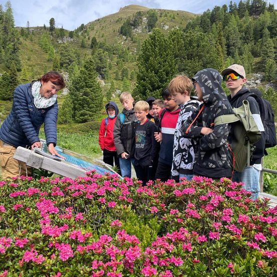 Eine Frau in einer blauen Jacke erklärt etwas einer Gruppe von Kindern auf einem Berg, umgeben von rosa Blumen und Bäumen.