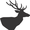 v1_migrated_image_41300384