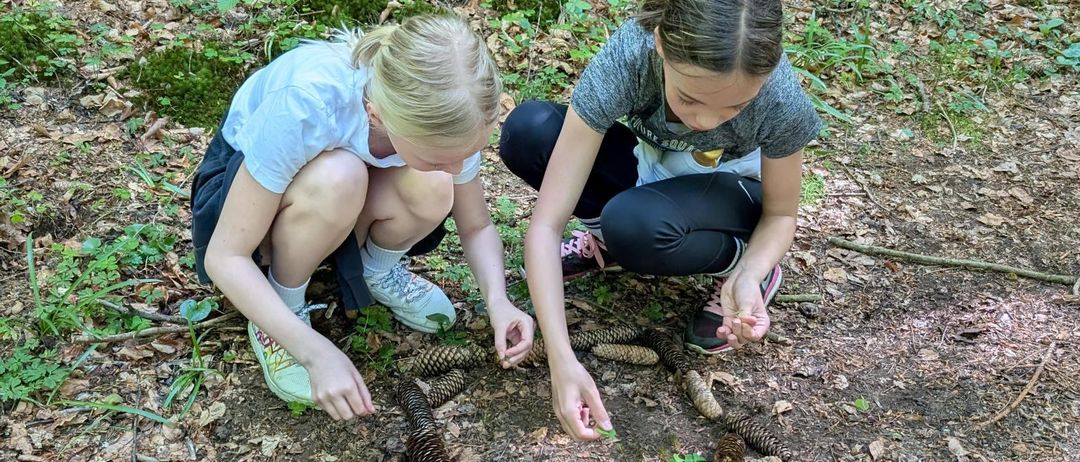 Zwei junge Mädchen sind im Freien in einem Wald und knien sich hin, um Kiefernzapfen auf dem Boden zu arrangieren. Eine trägt ein weißes T-Shirt und die andere ein graues T-Shirt.