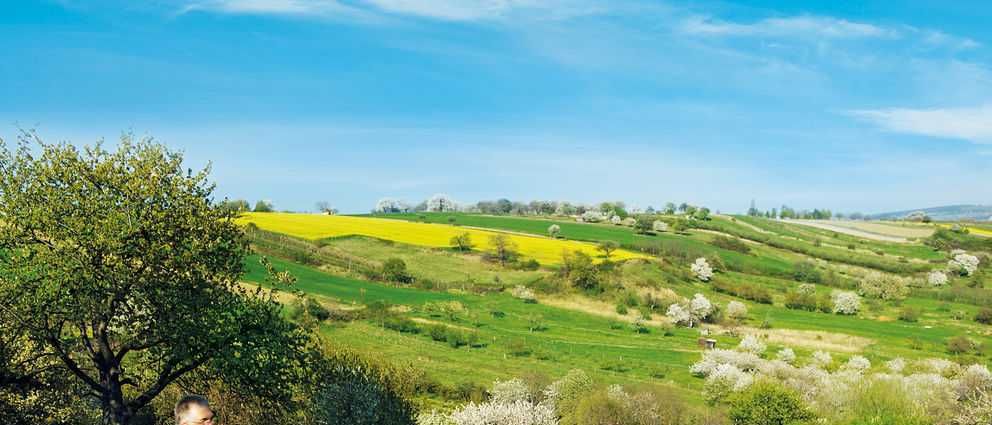 Bild enthält, Bicycle, Cycling, Person, Vehicle, Wheel, Boy, Male, Teen, Adult, Man