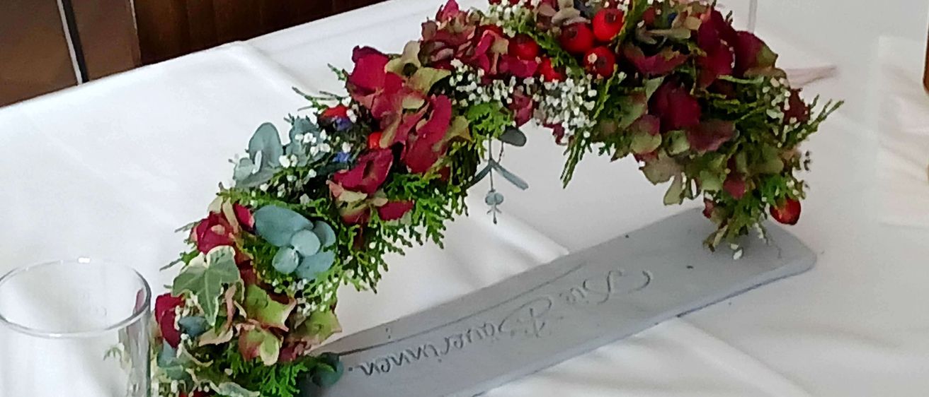 Bild enthält, Flower, Plant