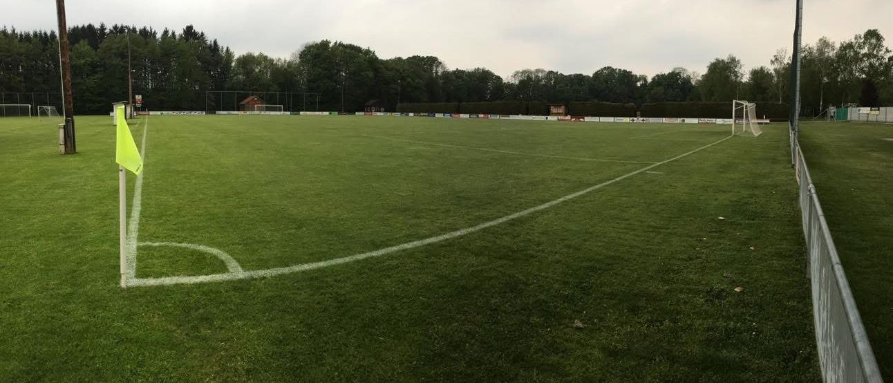 Ein Rasenfußballplatz mit weißen Linien, umgeben von grünen Bäumen und Büschen unter einem bewölkten Himmel.