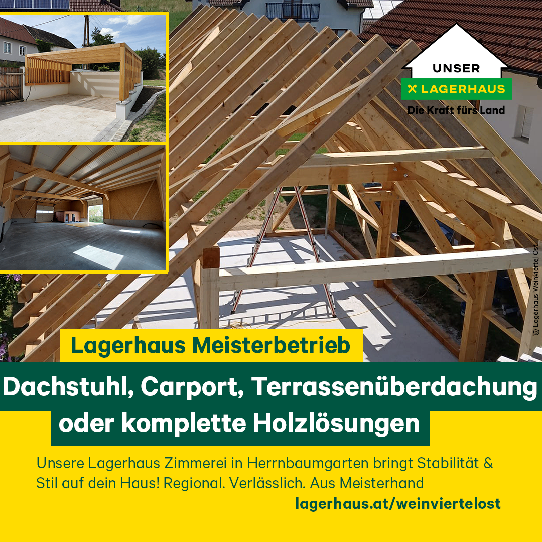 Werbung für Lagerhaus Meisterbetrieb, die verschiedene Holzhausstrukturen und -designs präsentiert und ihre Zimmermannsexpertise und Dienstleistungen hervorhebt.