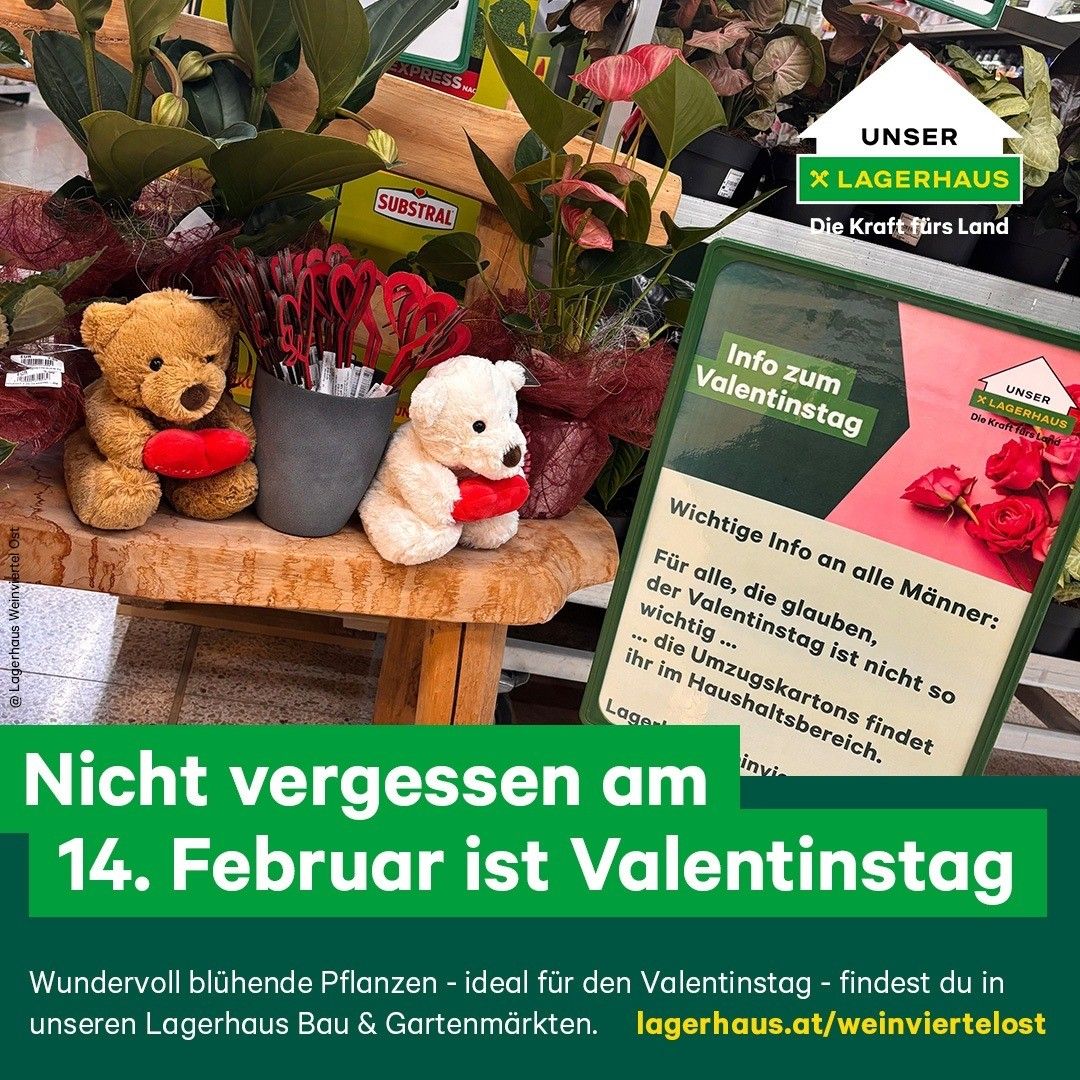 Advertisement for Valentine's Day with teddy bears, flowers, and plants. It says, 'Don't forget on February 14th, it's Valentine's Day.' It promotes floral arrangements and gardening.