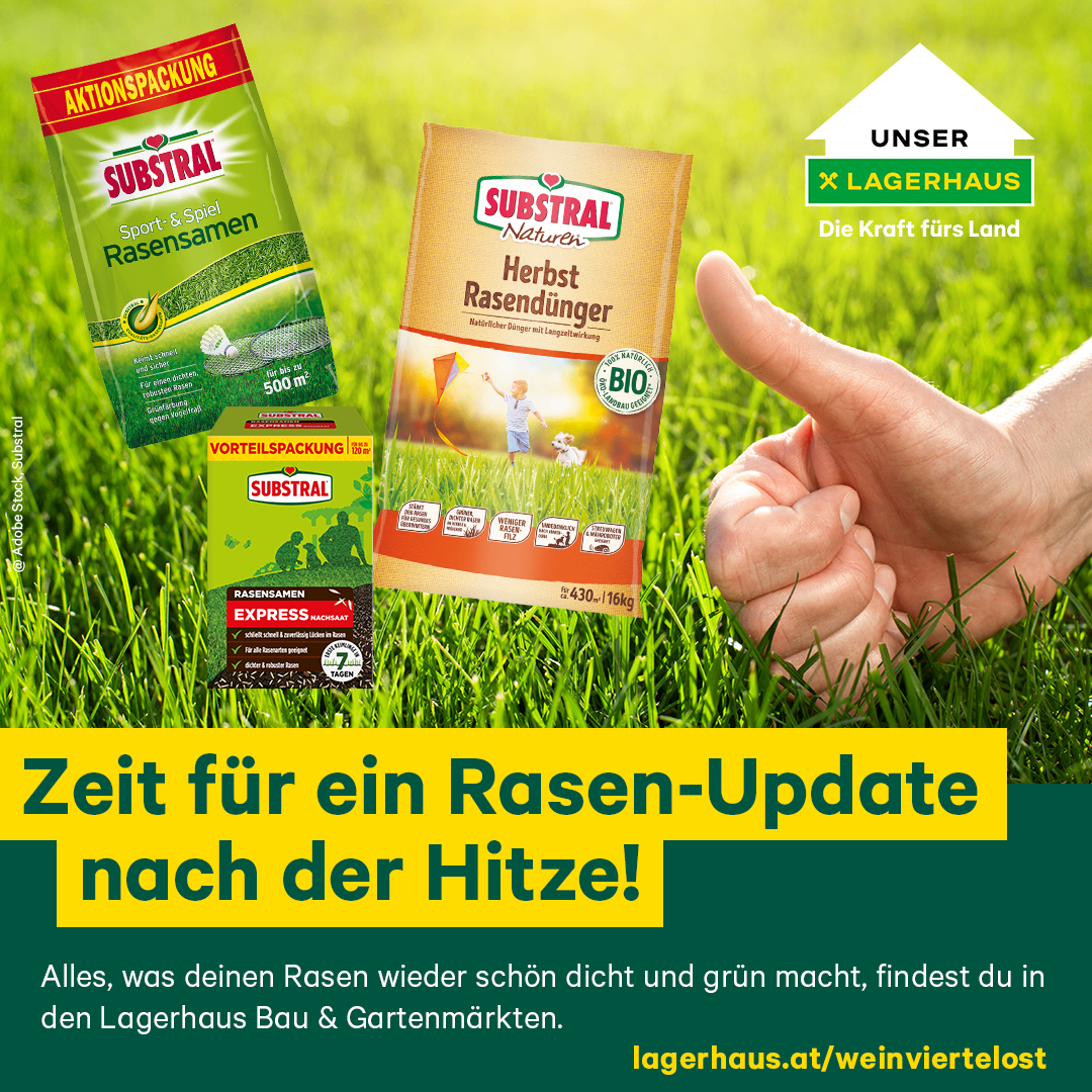 Daumen hoch vor einem schönen grünen Rasen. Mit Pflegeprodukte von Substral - Nachsaat und Dünger