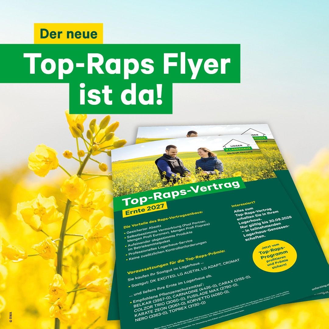 Rapsblüten im Hintergrund. Davor Flyer mit Information zum Top-Raps-Vertrag für die Ernte 2027.