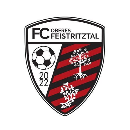 Bild enthält, Ball, Football, Soccer, Soccer Ball, Sport, Badge, Logo, Symbol, Armor, Shield