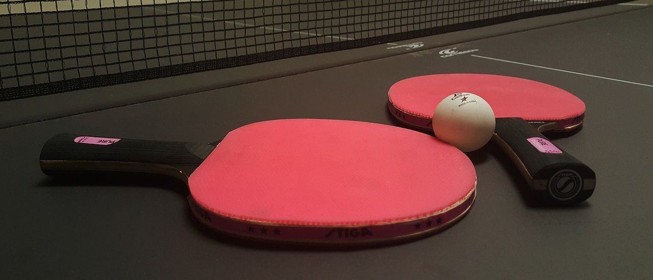 Bild enthält, Racket, Sport, Tennis, Tennis Racket, Ping Pong, Ping Pong Paddle