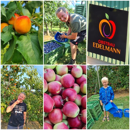 Bild enthält, Fruit, Produce, Apple, Adult, Male, Man, Person, Boy, Child, Sandal