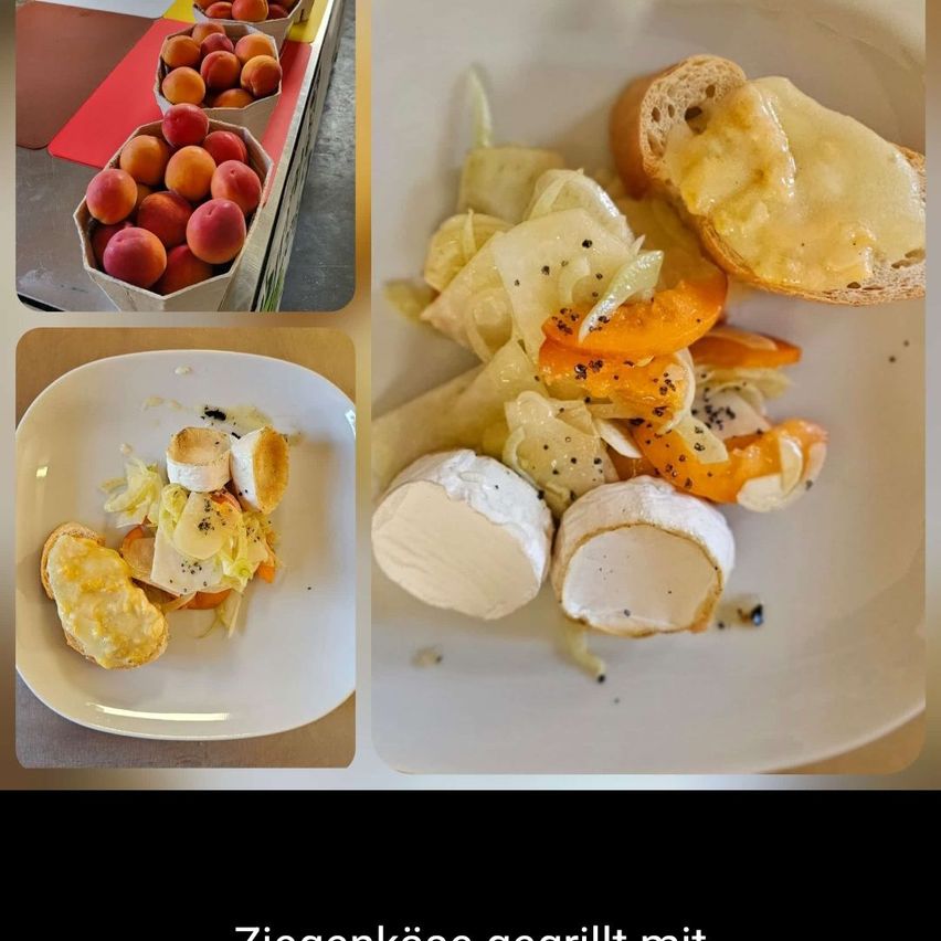 Eine Collage von Bildern mit Aprikosen, einem teilweise gegessenen Sandwich und einem Teller mit Käse und Gemüse.