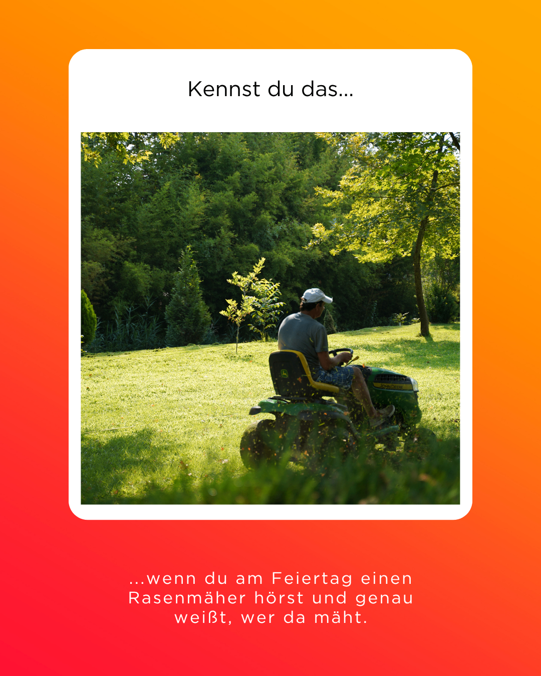 Ein Mann mäht den Rasen an einem sonnigen Tag. Bäume und Sträucher sind im Hintergrund.