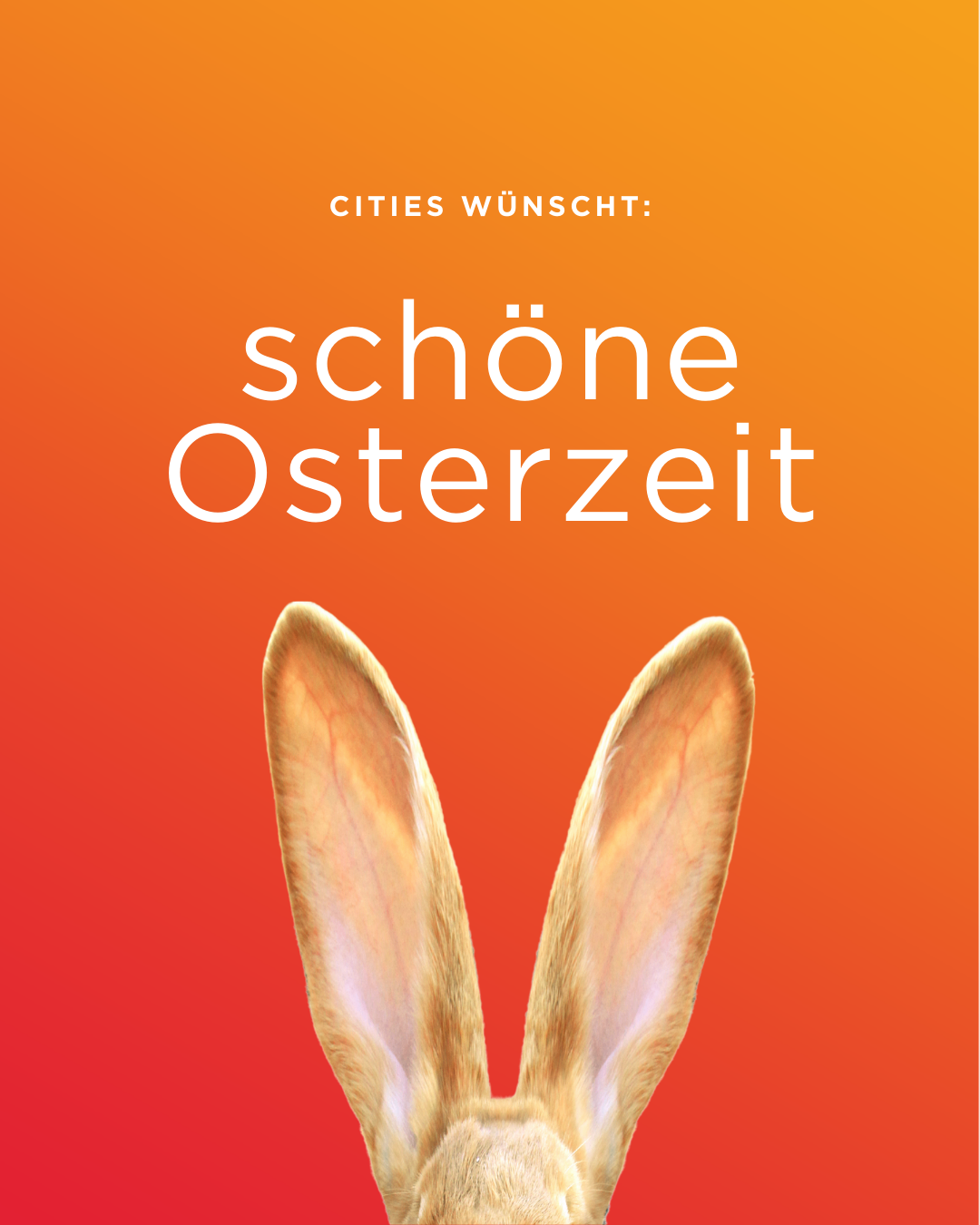 Ein Bild der Ohren eines Kaninchens vor einem roten Farbverlaufshintergrund mit dem Text 'schone Osterzeit' prominent angezeigt.