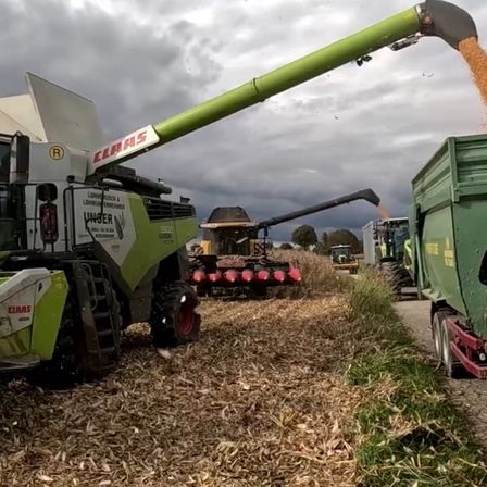 Bild enthält, Countryside, Farm, Harvest, Nature, Outdoors, Rural, Architecture, Turret, Bulldozer, Wheel