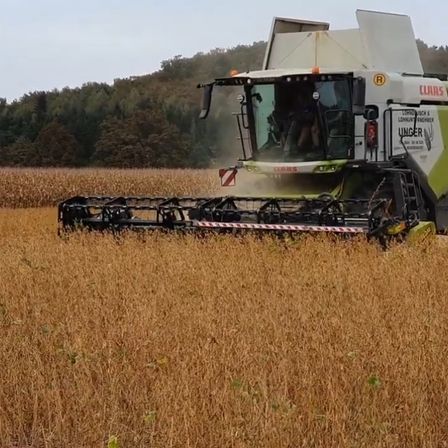 Bild enthält, Nature, Outdoors, Countryside, Rural, Farm, Harvest, Bulldozer, Machine, Wheel, Aerial View