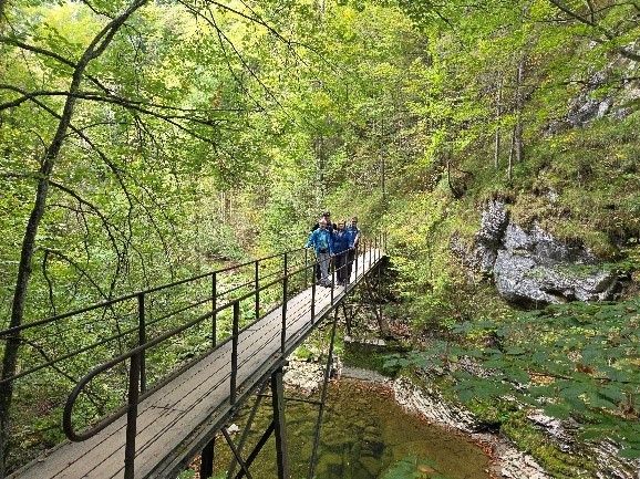 Eine Gruppe von Menschen geht auf einer Holzbrücke über einen Fluss in einem Wald.