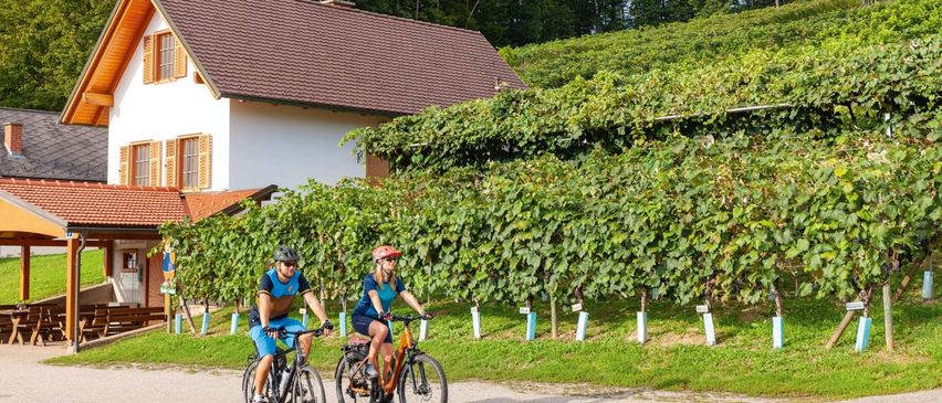 Zwei Radfahrer fahren auf einem Schotterweg, umgeben von Weinbergen. Ein traditionelles Haus mit einem braunen Dach befindet sich im Hintergrund.