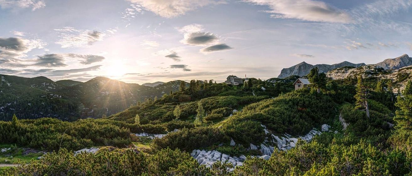 v1_migrated_image_79456838