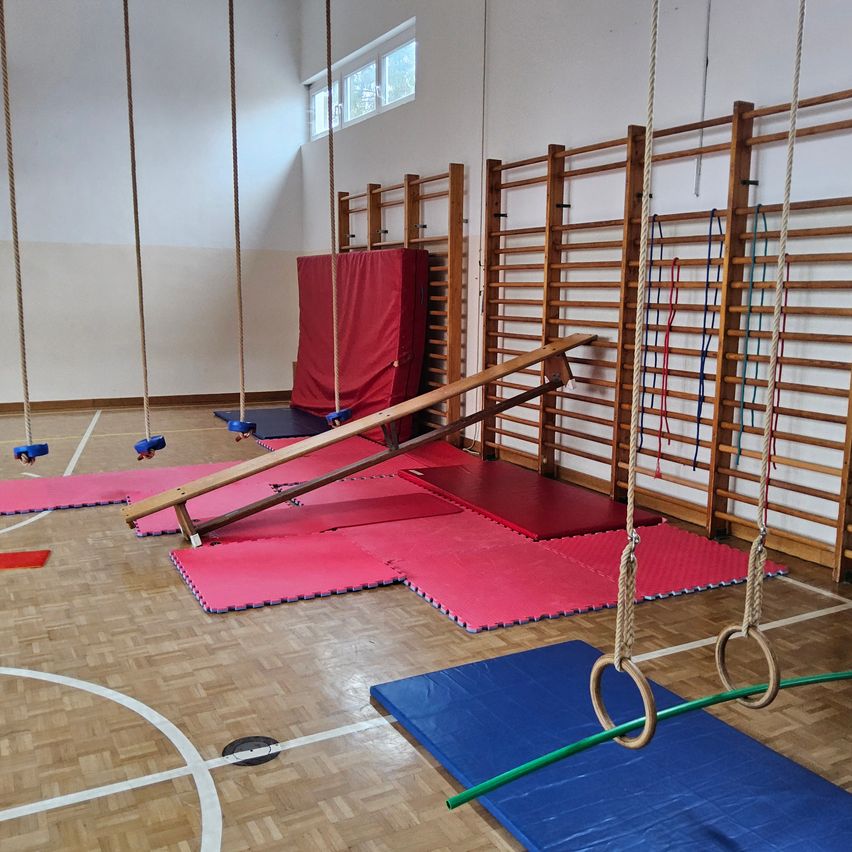 Ein Fitnessstudio mit verschiedenen Trainingsgeräten, darunter Schaukeln, eine hölzerne Balancestange und rote Matten auf dem Boden.
