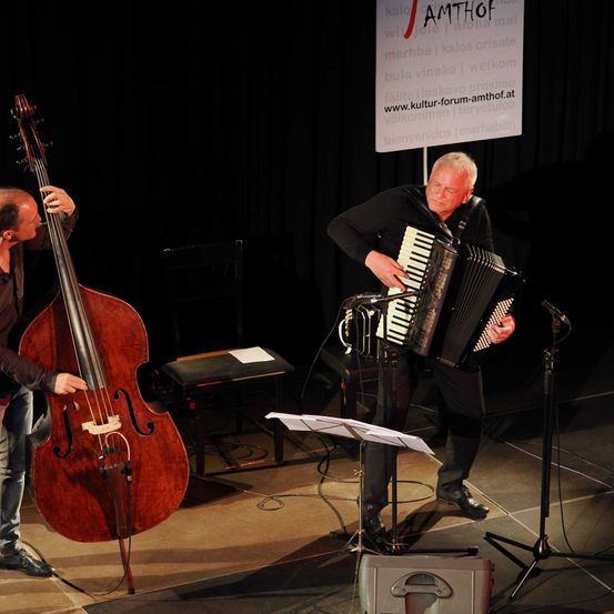 Bild enthält, Adult, Male, Man, Person, Cello, Musical Instrument, Shoe, Group Performance, Chair, Microphone