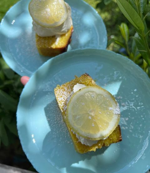 Zwei hellblaue Teller halten Stücke von Zitronenkuchen mit weißer Glasur und Zitronenscheiben, vor einem grünen Blatthintergrund.