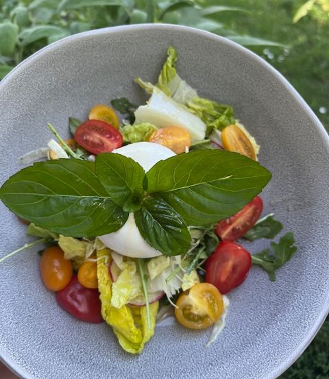Eine Schüssel mit frischem Salat, Tomaten, Salat und einer Mozzarellakugel, garniert mit Basilikumblättern.