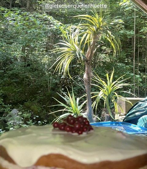 Ein Nahaufnahme eines Kuchens, der mit weißer Glasur bedeckt ist und mit roten Beeren gekrönt wird, vor dem Hintergrund eines üppigen grünen Waldes.